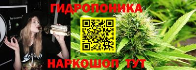 шишки Ливны