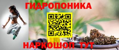 круглые Лесосибирск