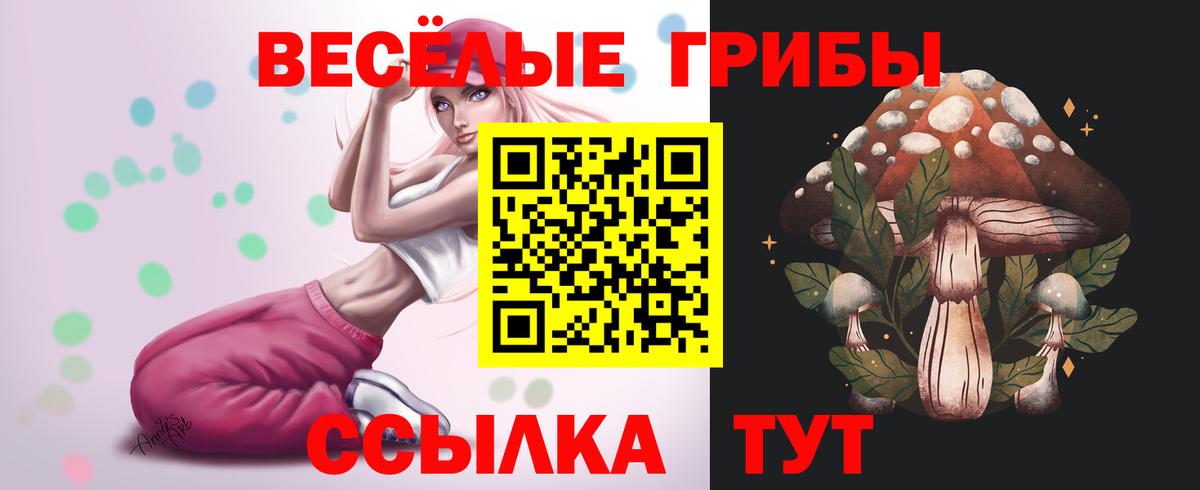Галлюциногенные грибы Cubensis Ишим