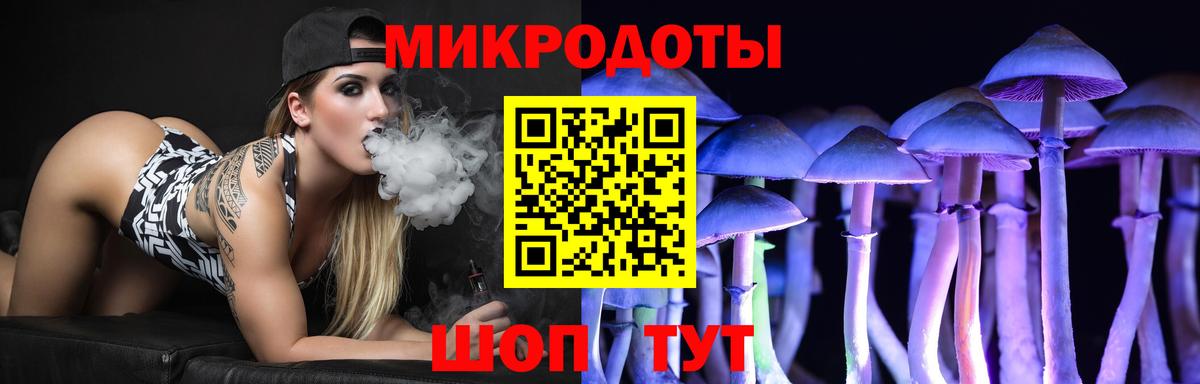 Ишим  Псилоцибиновые грибы мицелий  Вход с VPN 